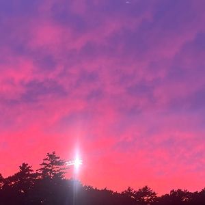 Meet your Posher, Tabitha